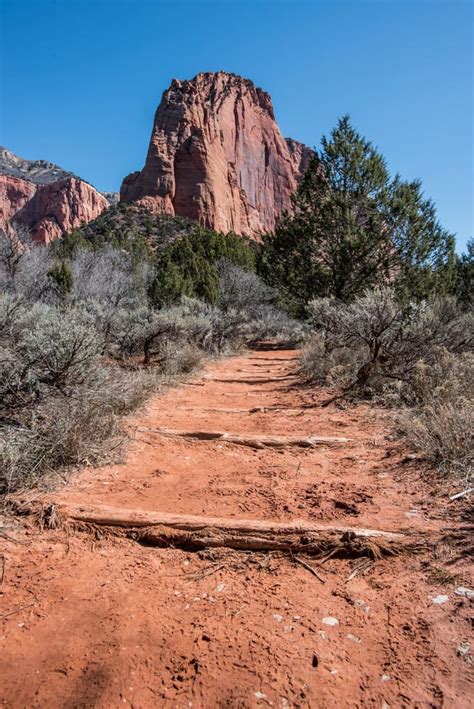 exploring  kolob canyons  zion national park