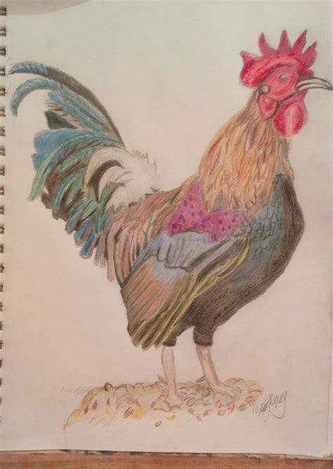 Colored Pencil Drawing of a Rooster