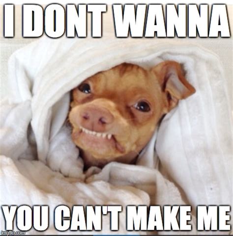 days youre    letting  stay  bed imgflip