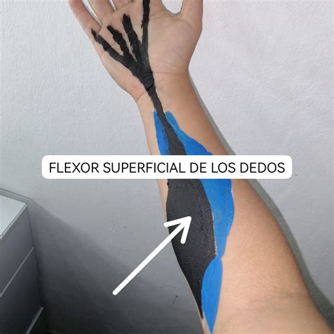 Nombre De Los Dedos 3