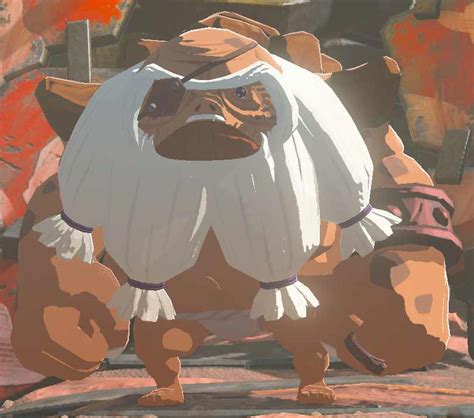Bludo - Zelda Wiki