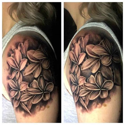 pictures  plumeria flower tattoos  flower site