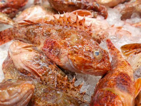 Undercooked Or Raw Meat And Seafood Photos, Download The BEST Free ...
