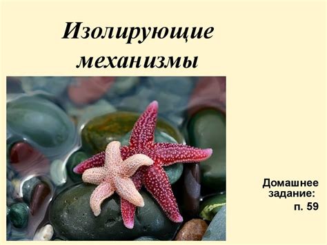 Изолирующие механизмы (теория эволюции) - презентация онлайн