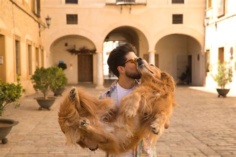 Warum viele Frauen einen Golden-Retriever-Boyfriend wollen - wmn.de