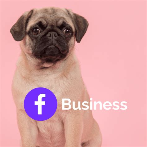 top  facebook business features