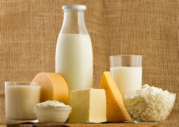 У липні світові ціни на молочні продукти впали на 2,8%. Новости ...