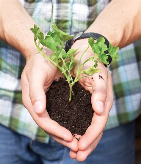 green grower youth incorporated magazine