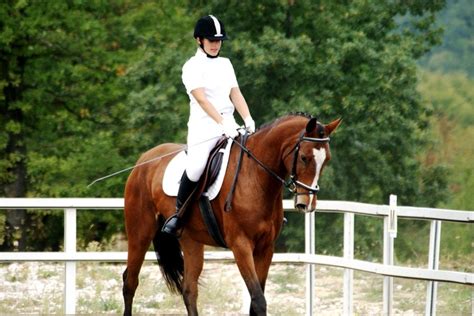 Konjički klub "Pegasos" otvara takmičarsku sezonu u dresurnom jahanju