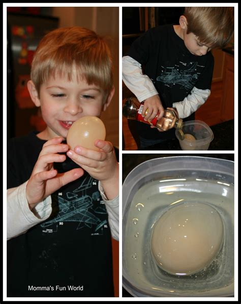 Momma's Fun World: 3 Egg science experiments