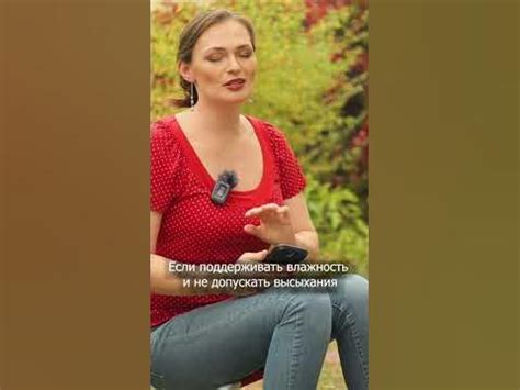 Удобряй опилками Дачный агроном - YouTube