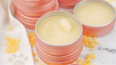 Homemade Dog Paw Balm: A DIY Guide for Healthy Paws