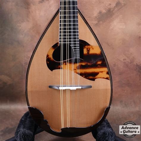 mandolin