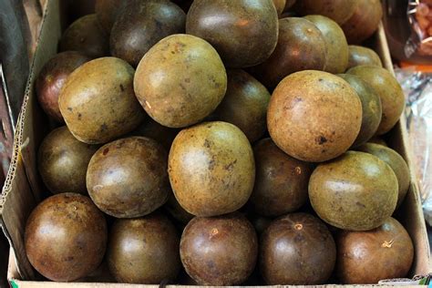 Monkfruit, excellent natural sweetener for dairy - Van Wankum Ingredients