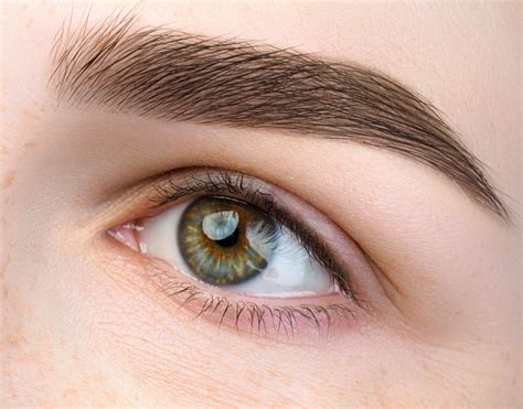 brow designers brisbane brow services perfect brow design