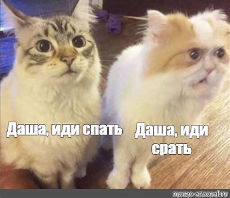 Комикс мем: "Даша, иди спать Даша, иди срать" - Комиксы - Meme-arsenal.com
