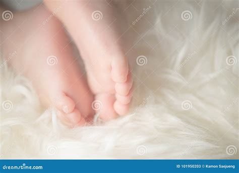 Босые ноги милого Newborn младенца в теплом белом одеяле Детство Малые ...