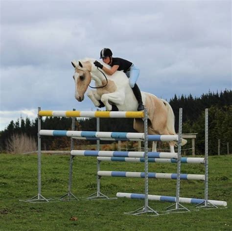 Alycia Burton Free Riding - Jumping huge bareback - Free Riding NZ