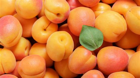 Which State Produces The Most Apricots In The US?