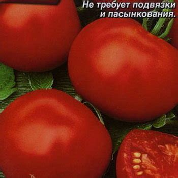 Купить семена Томат Ляна в магазине Первые Семена по цене 17 руб.