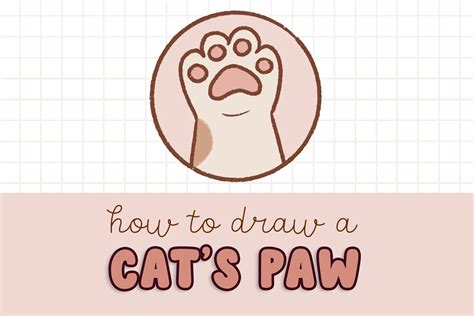 how to draw paw prints for cats