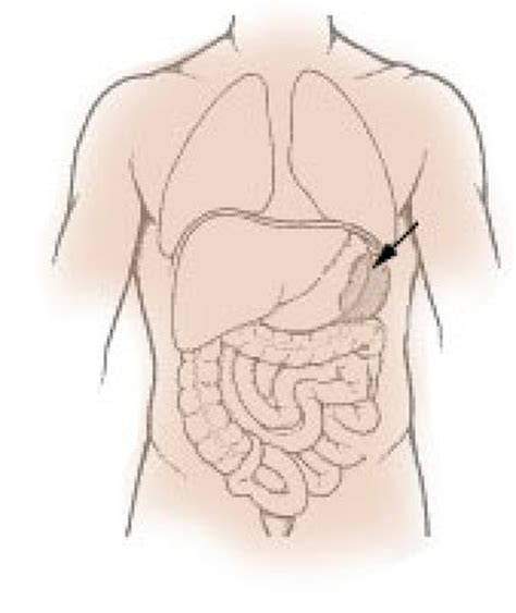 how-to-treat-torn-ruptured-spleen-photo – The Disabled List