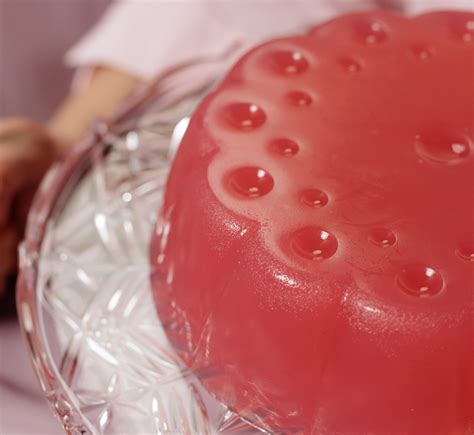 animal  gelatin