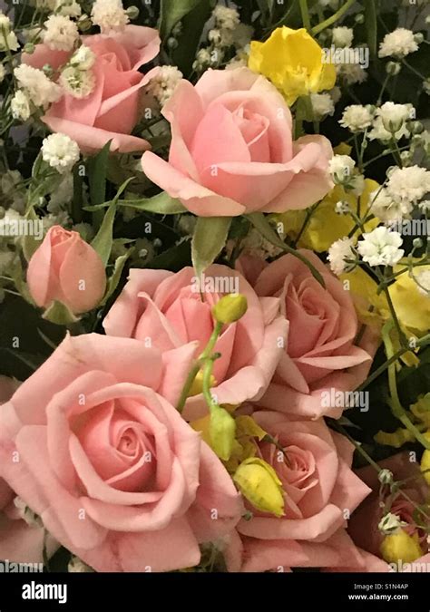 A bunch of roses Stock Photo - Alamy