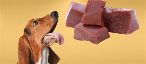 Can Dogs Eat Liver? A Comprehensive Guide