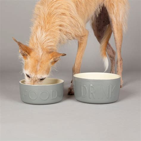 Classic 2 Piece Dog Food & Water Bowl Set - 19cm | 20cm - Grey ...