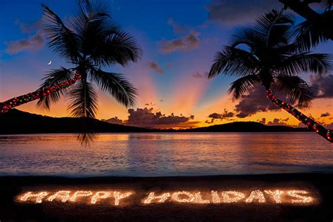 caribbean island christmas stock  pictures royalty