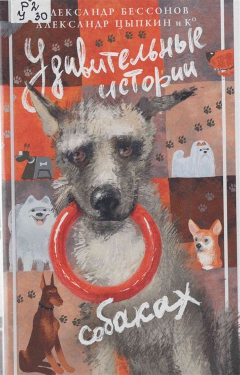 Центральная библиотека — Читать полезно