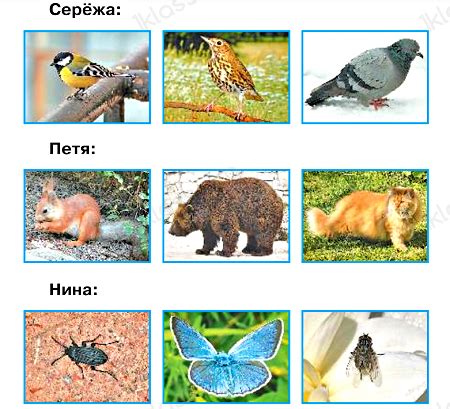 ГДЗ по Окружающему миру 1 класс учебник Плешаков 1 часть ответы стр 53 ...