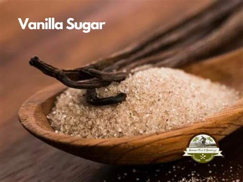 vanilla  vanilla bean main differences explained efb