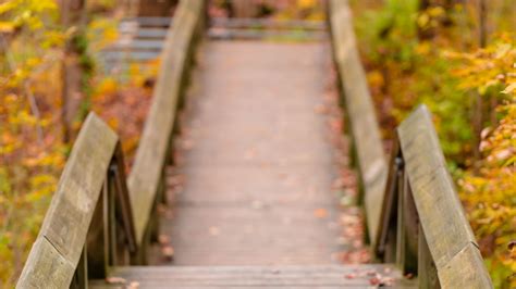 Download wallpaper 2560x1440 path, railings, autumn, fallen leaves ...