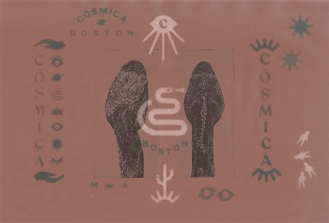 CÓSMICA BOSTON on Behance