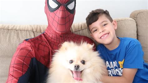 Cachorro Do Homem Aranha - Cachorro do Homem Aranha no parquinho de diversões - YouTube
