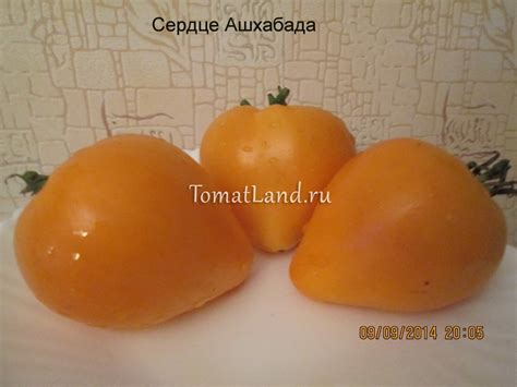 Томат Сердце Ашхабада: описание сорта, ОТЗЫВЫ (21), фото