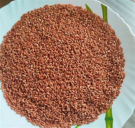 red rice  rs kg midnapore id