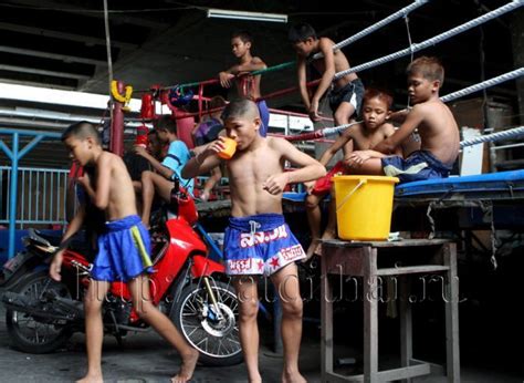 Тайский бокс.|Ватдитай | Muay thai, National sport, Sports