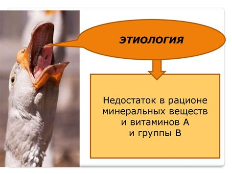 Болезни птиц - презентация онлайн