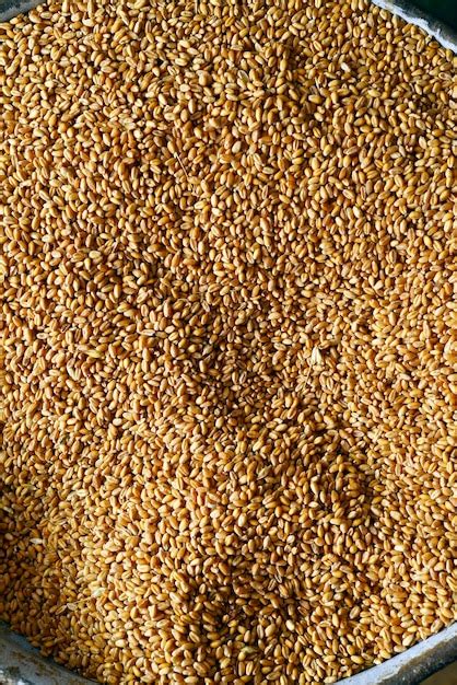 Processed grains Images - Search Images on Everypixel