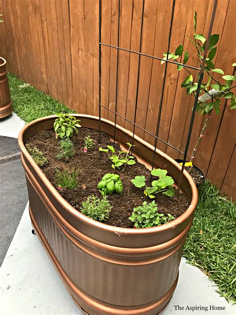 Galvanized Horse Trough Planters | Fasci Garden