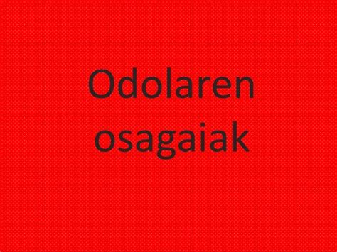 Odola