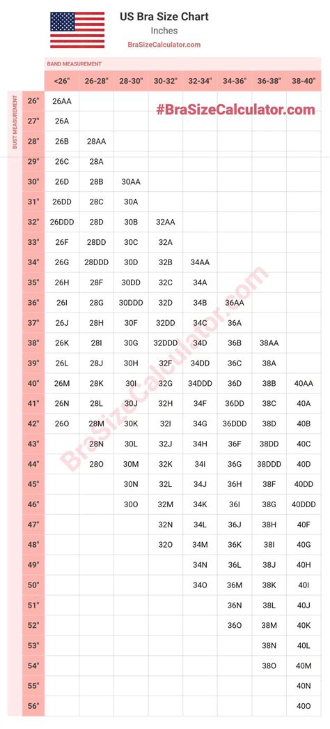 US Bra Size Chart - Quick & Easy Band and Bust Size Matching