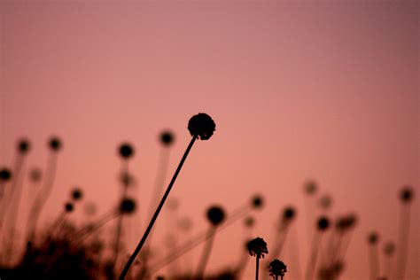 sehnsucht Foto & Bild | landschaft, natur Bilder auf fotocommunity
