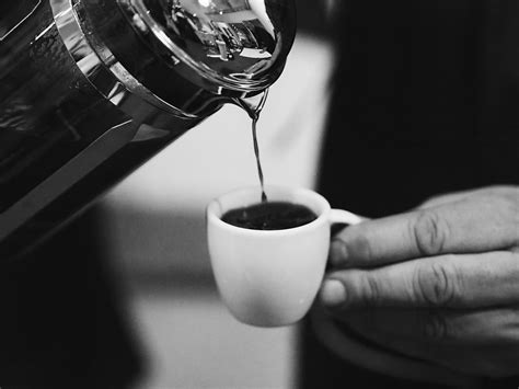Master Barista | Barista School AS | Oslo