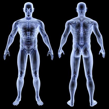 Body Stock Photo - Download Image Now - iStock