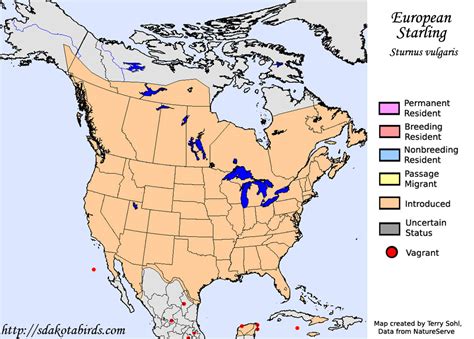 European Starling - Species Range Map