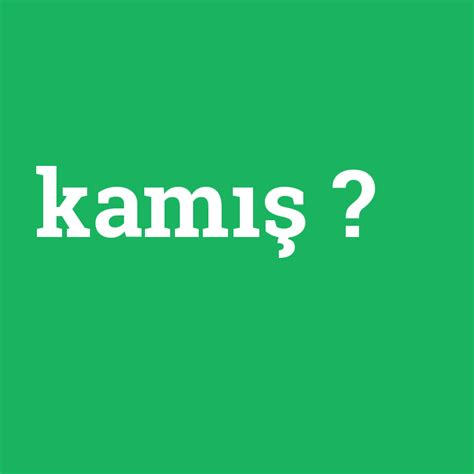 Kamış ne demek? - anlami-nedir.com
